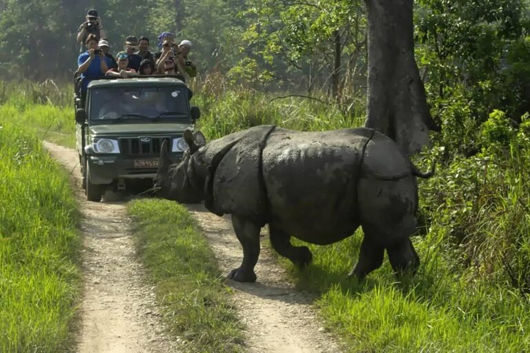 chitwan